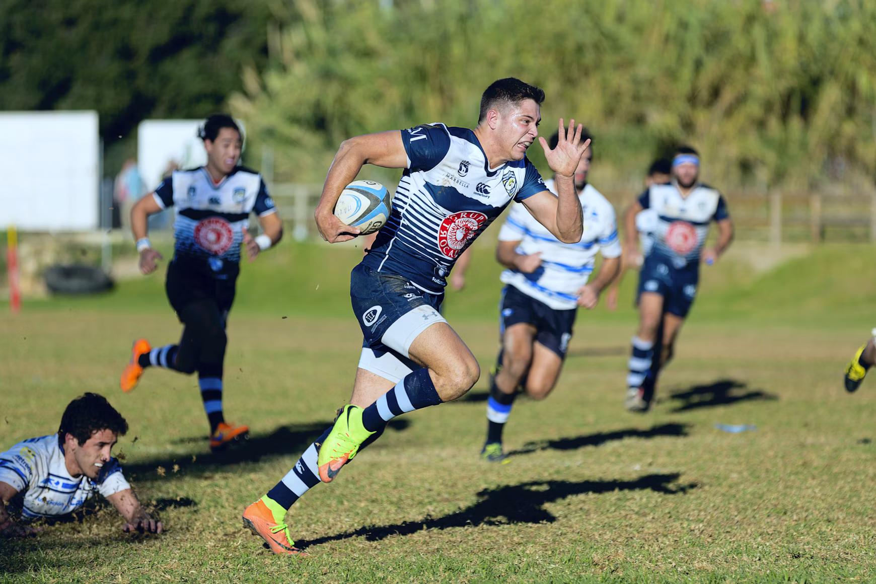 Rugby players in motion on a field — licensed demo image